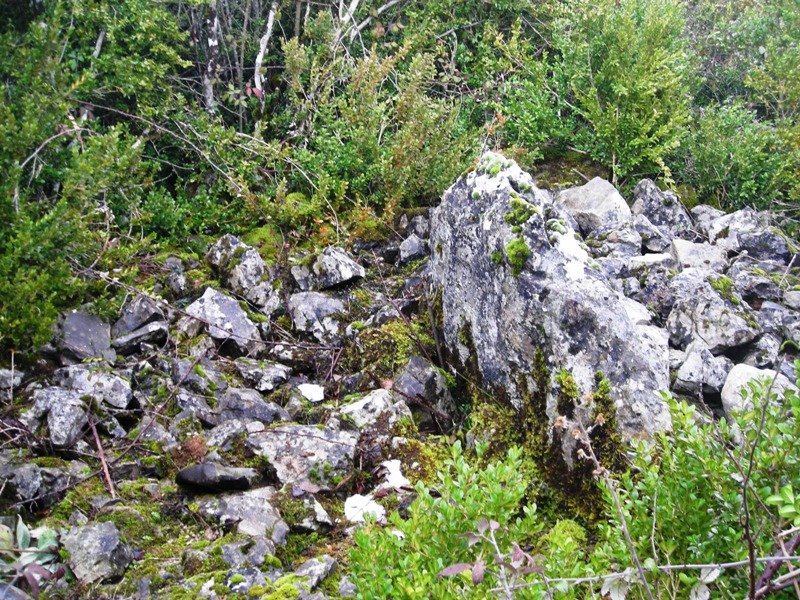 Ugarra 2  mendebal trikuharria