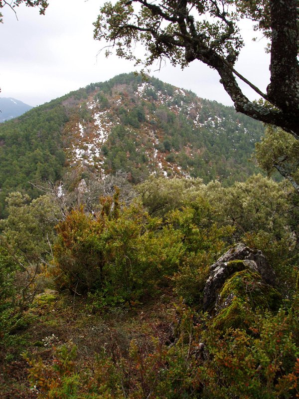 Azkarregia Haitzeko gailurra, atzean Iturtea mendia