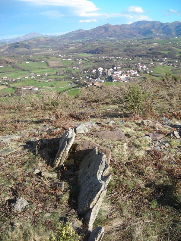 Gaztenbakarre 2 trikuharria