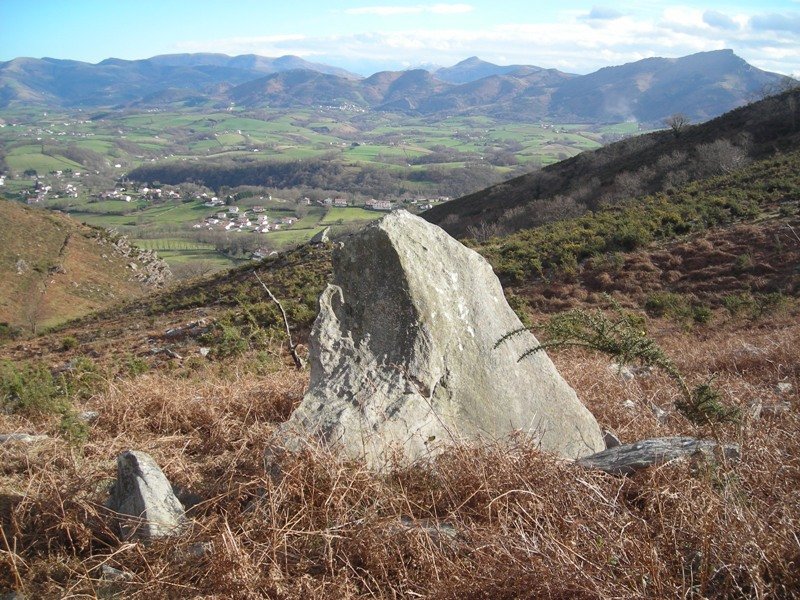 Gaztenbakarre zutarria