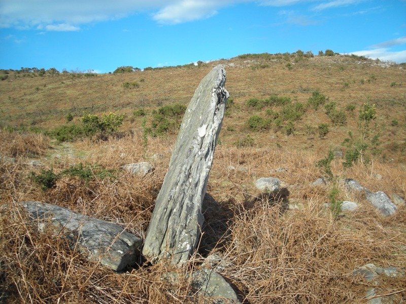 Gaztenbakarre zutarria