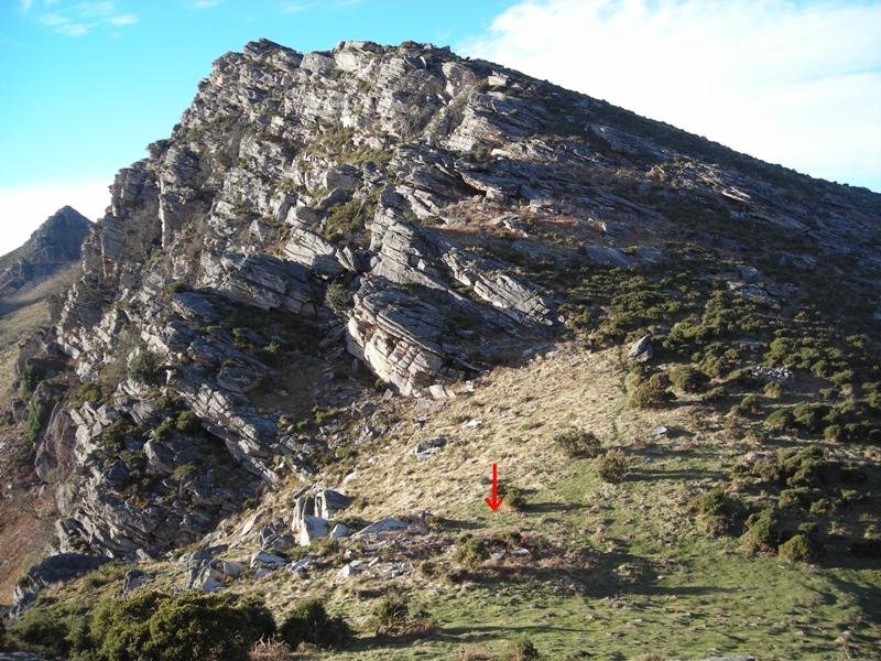 Altsaan 3 trikuharria