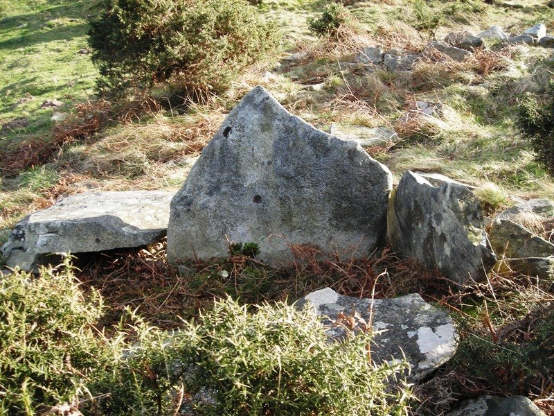 Altsaan 3 trikuharria