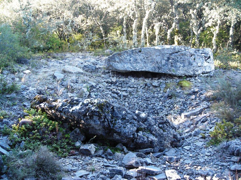 Puyomediano trikuharria