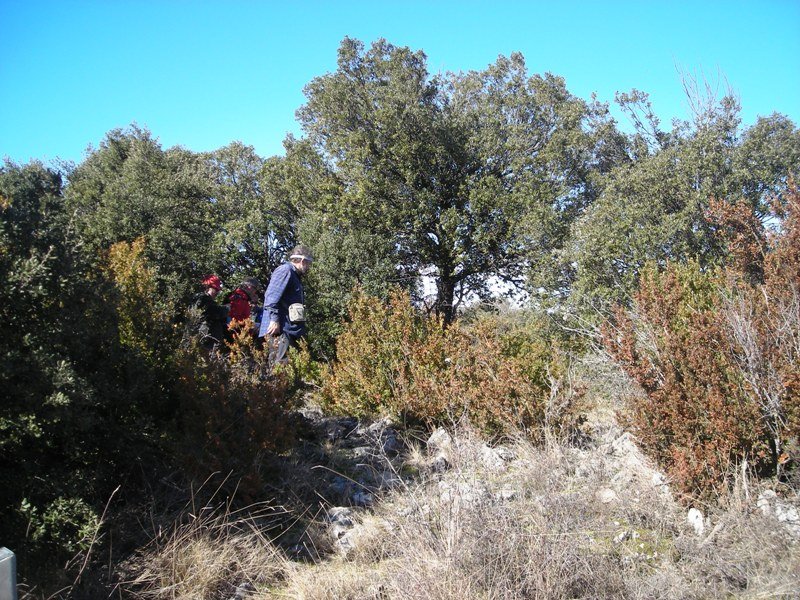 La Pieza de Luis trikuharria