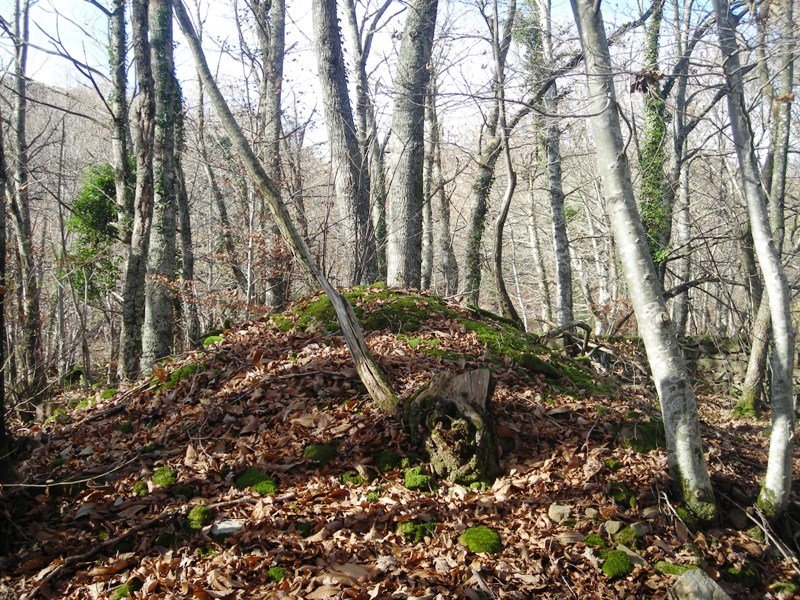 Arotzeneko Borda tumulua