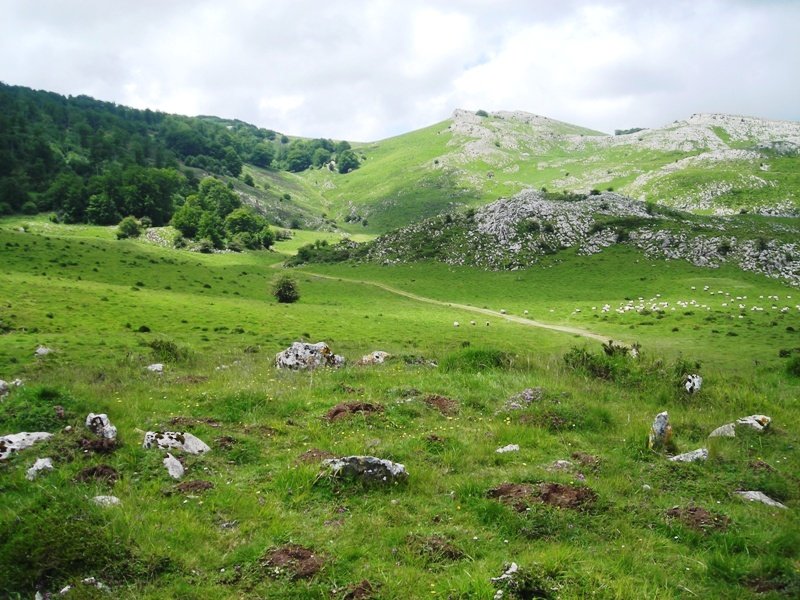 Idopilko Soroa harrespila