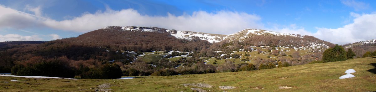 Sanguein edo Otsaurka