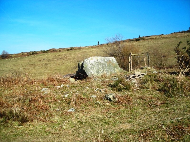 Galbario I trikuharria