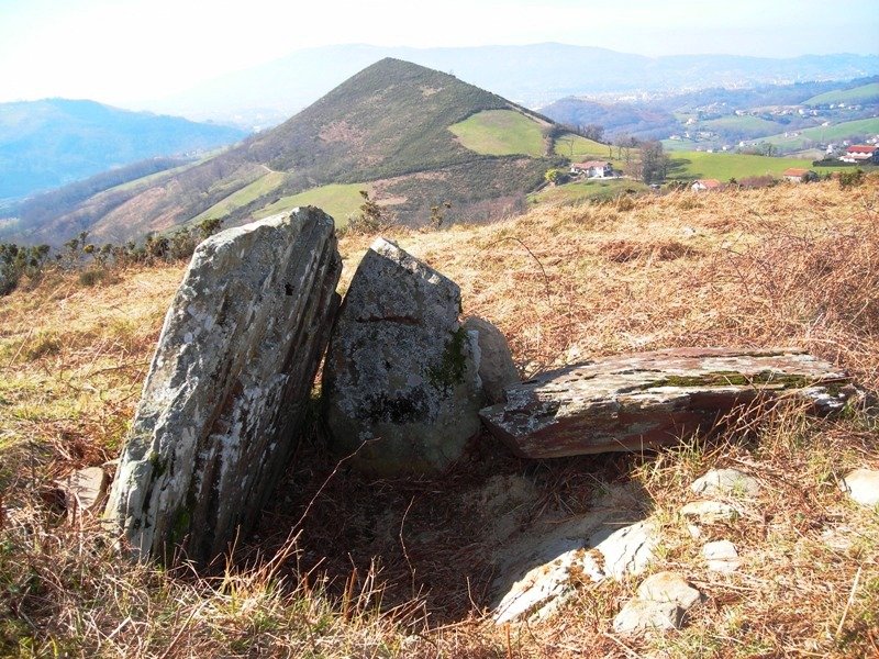 Galbario I trikuharria