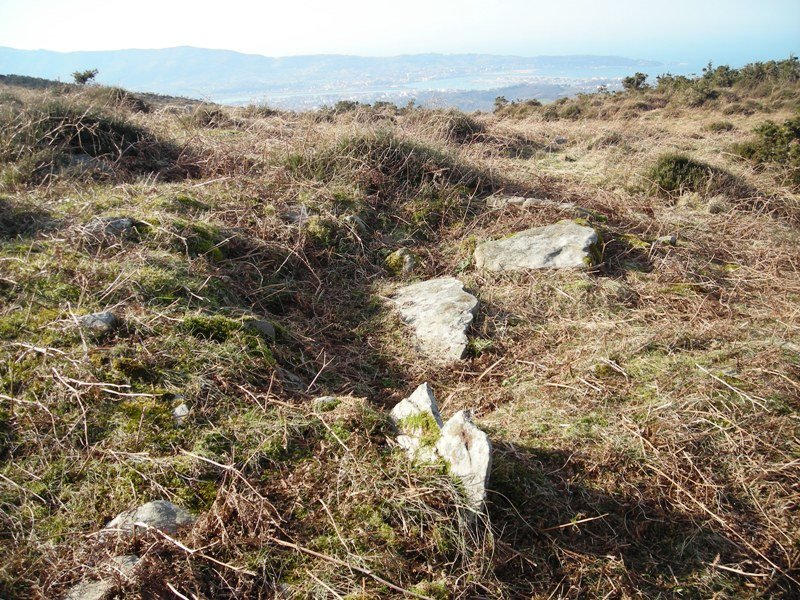 Xoldokozelai I trikuharria