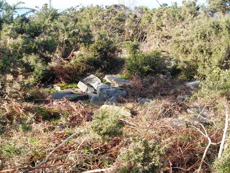 Xoldokozelai II trikuharria