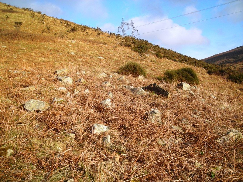 Galbario II trikuharria