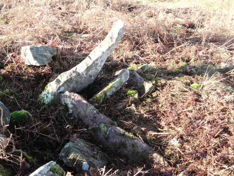 Larria III   trikuharria