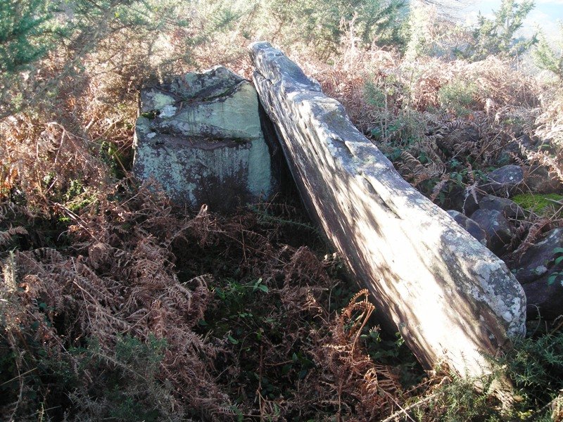 Lapitzeta I trikuharria