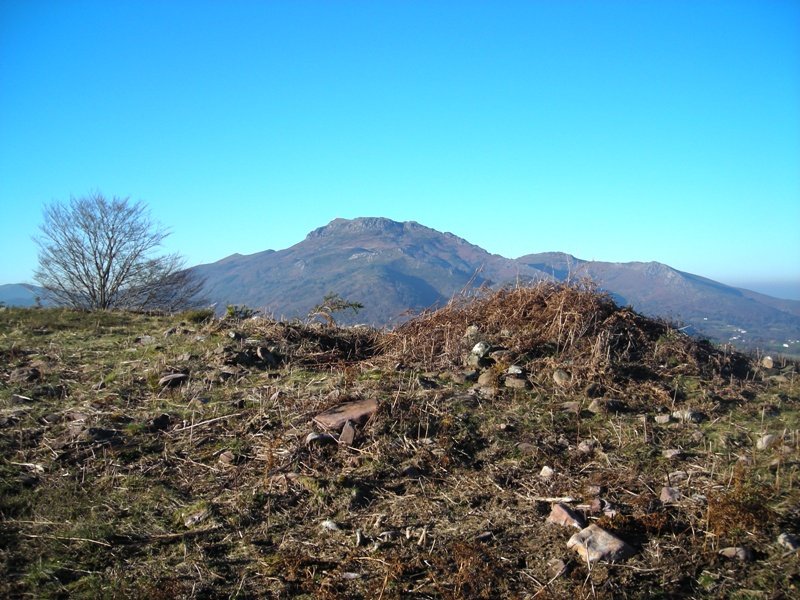 Lapitzeta II trikuharria