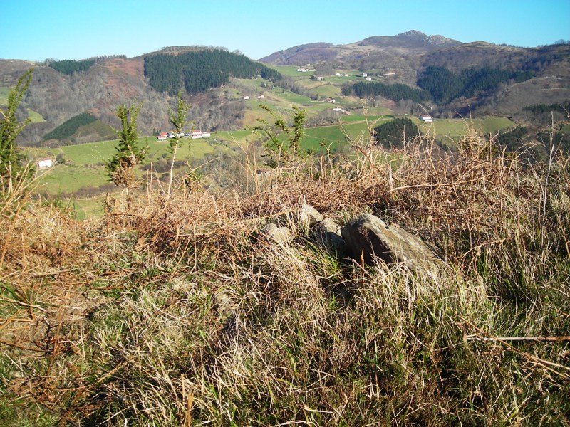 Akelarre Bizkarra trikuharria