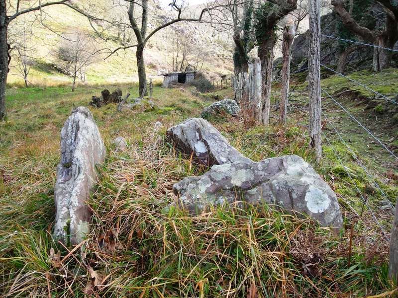 Zulubiko  Erreka  trikuharria