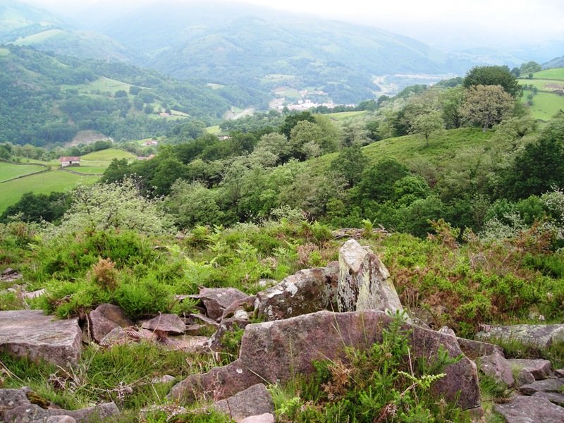 Urriki  2  mendebalde trikuharria