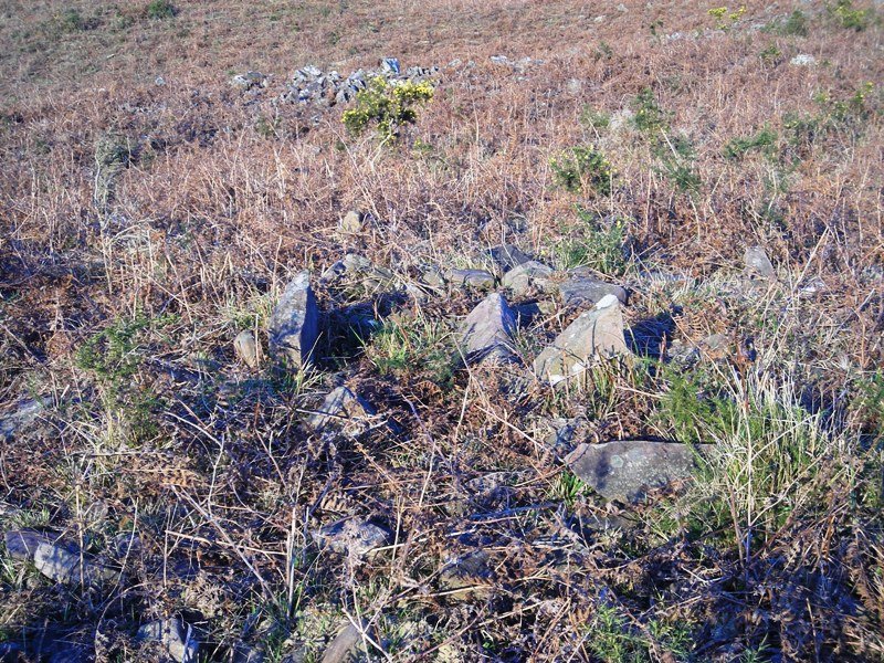 Larratzu  trikuharria