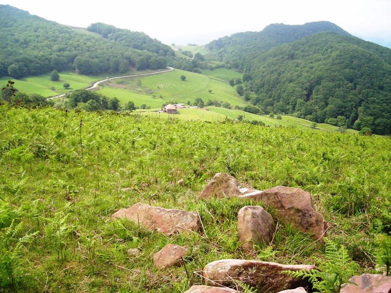 Enpazabal  trikuharria