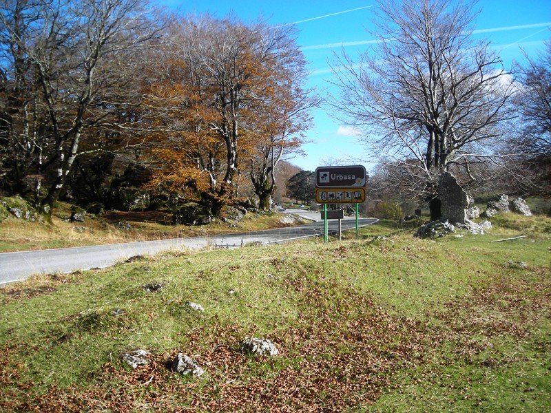 Sorosgain trikuharria