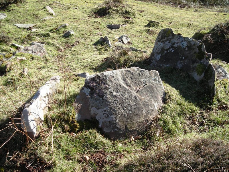 Gorostiko Lepoa trikuharria
