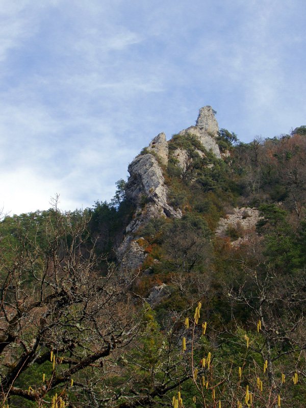 Azkarregia Larraize sakanetik