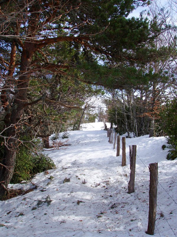 Migoletako gailurra azken aldapatik