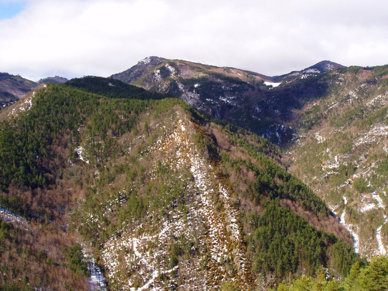 Erremendia Betutagañatik