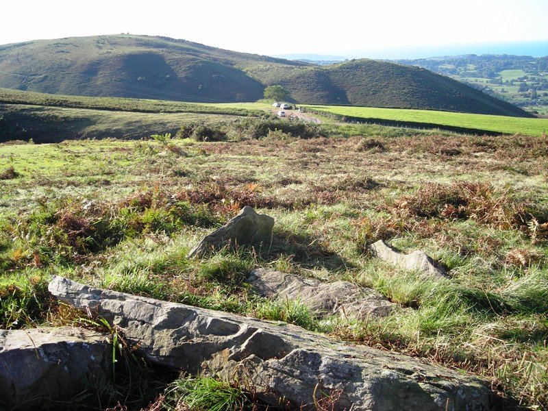 Lezante hego trikuharria