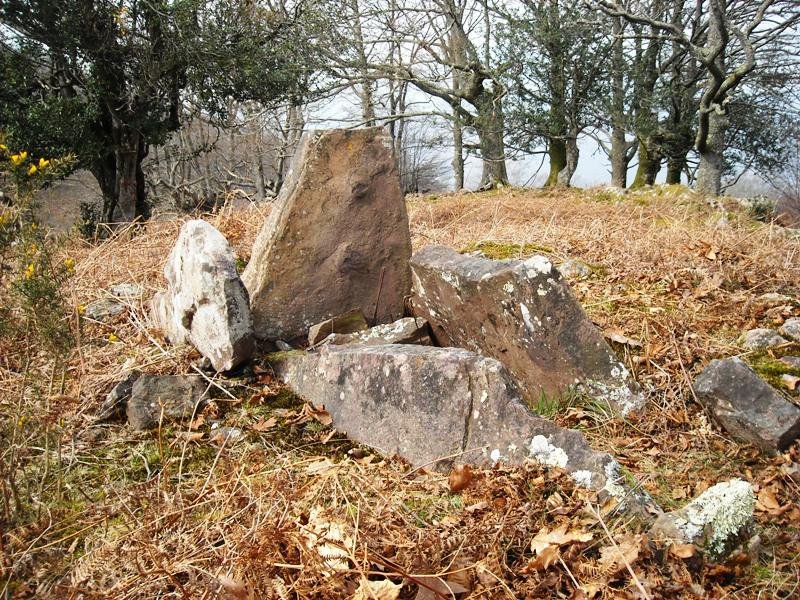 Tonbako Erreka trikuharria