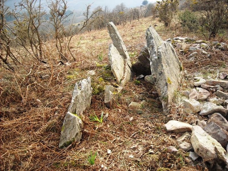 Xarita I trikuharria