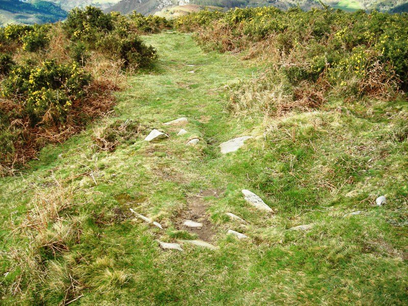 Boreiko Arri 3 harrespila