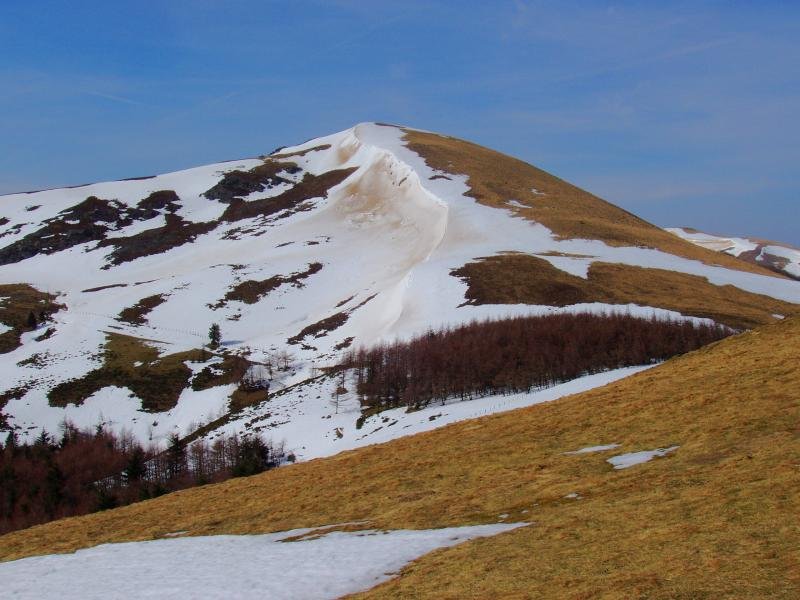 Txangoa Bentarteako lepotik