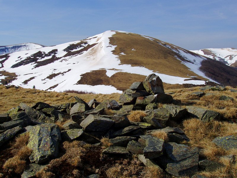 Txangoa Leitzatekatik iparraldeko kota batetik