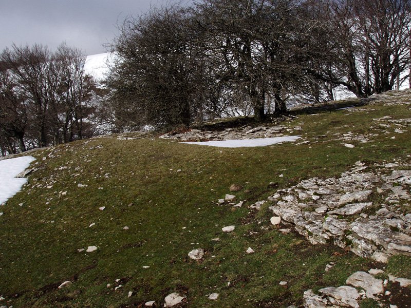 Larginburuko etxola hondoa