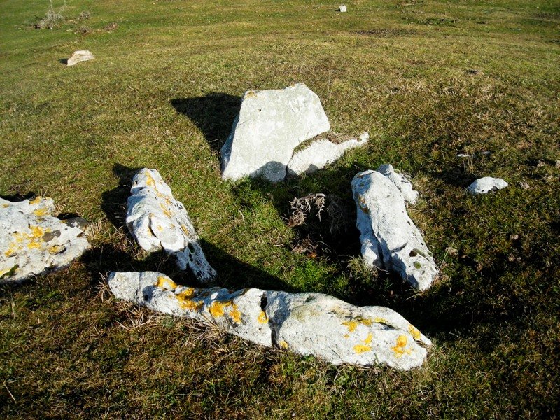 Legaire ipar trikuharria