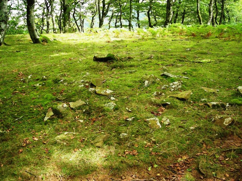 Olhateko lepoa tumulua