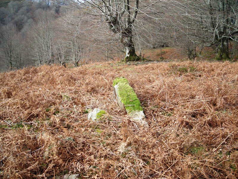 Urrixka 2 ipar trikuharria