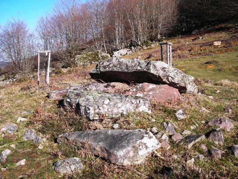 Turreiko Aska trikuharria