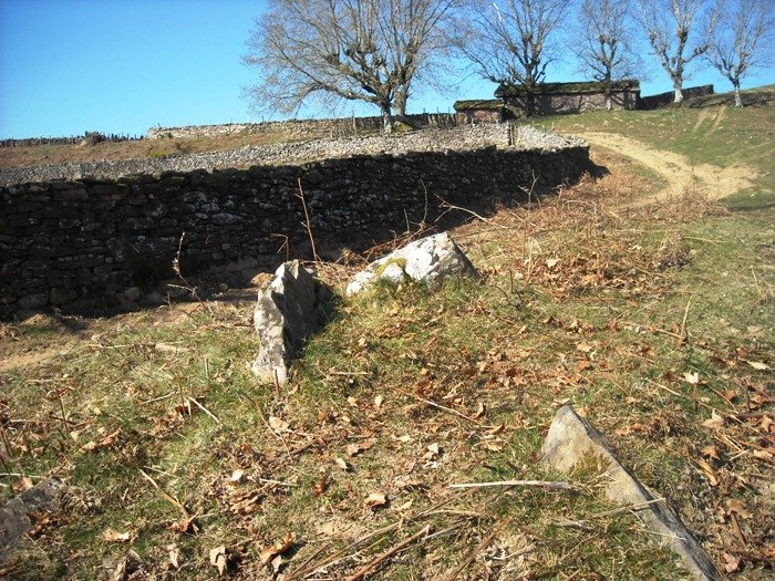 Legate  4  trikuharria