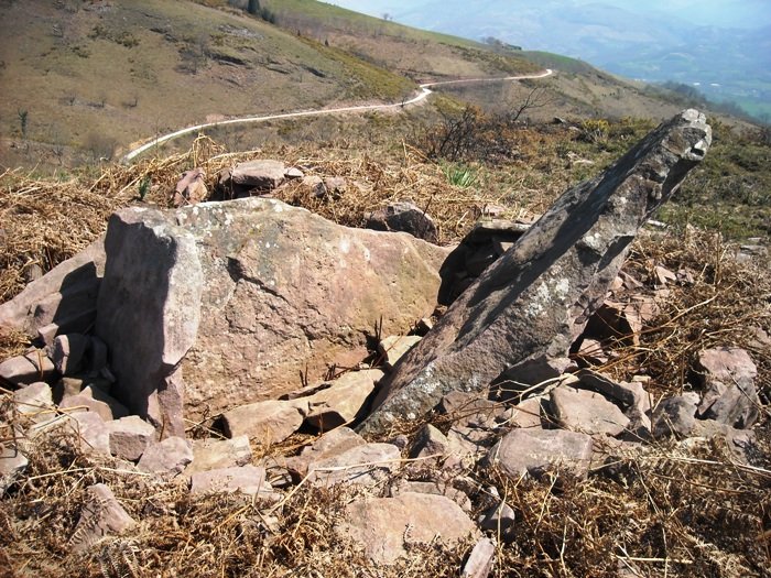 Mairu Harri trikuharria