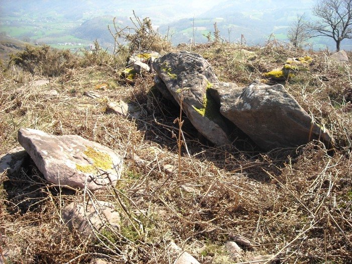 Xaldarri 1 ipar trikuharria