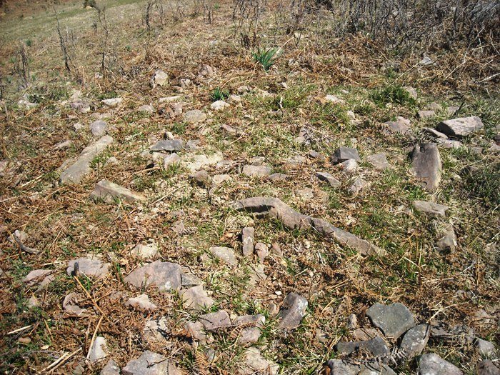 Matxeta  trikuharria