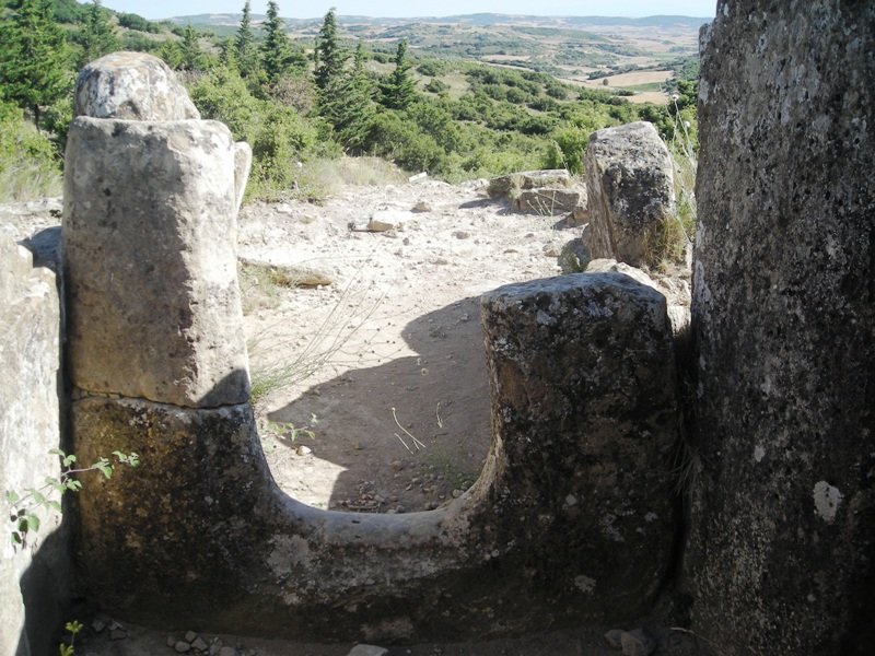  Farangortea trikuharria