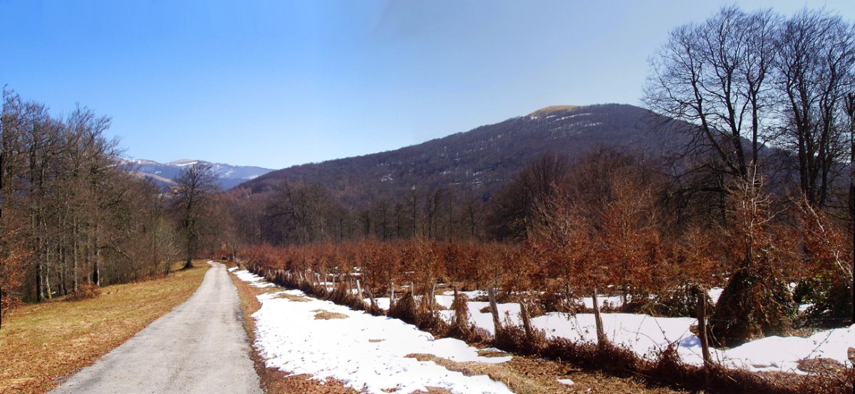 Girizu Linduseko bidetik