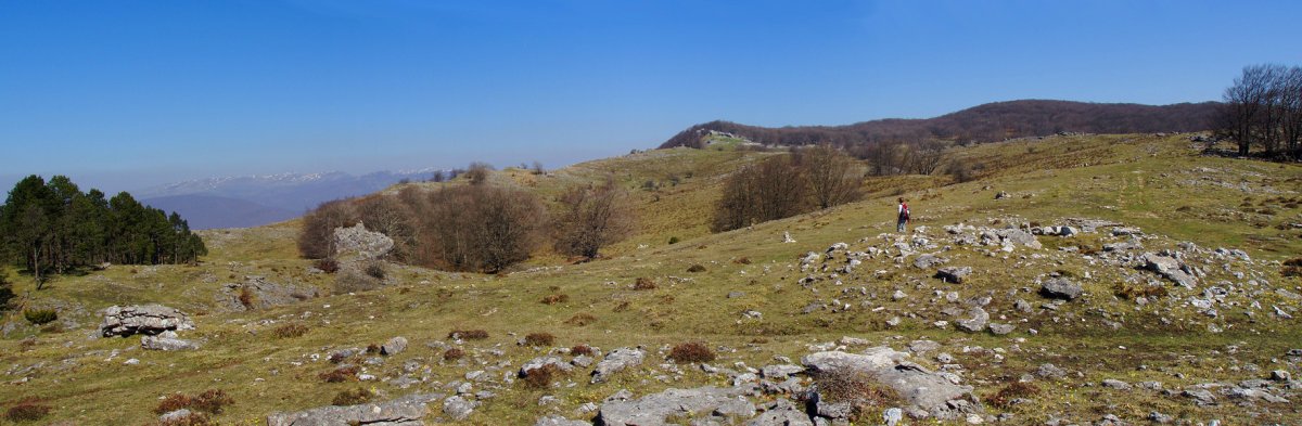 Txopordiko larreak eta Santa Marinako trikuarria