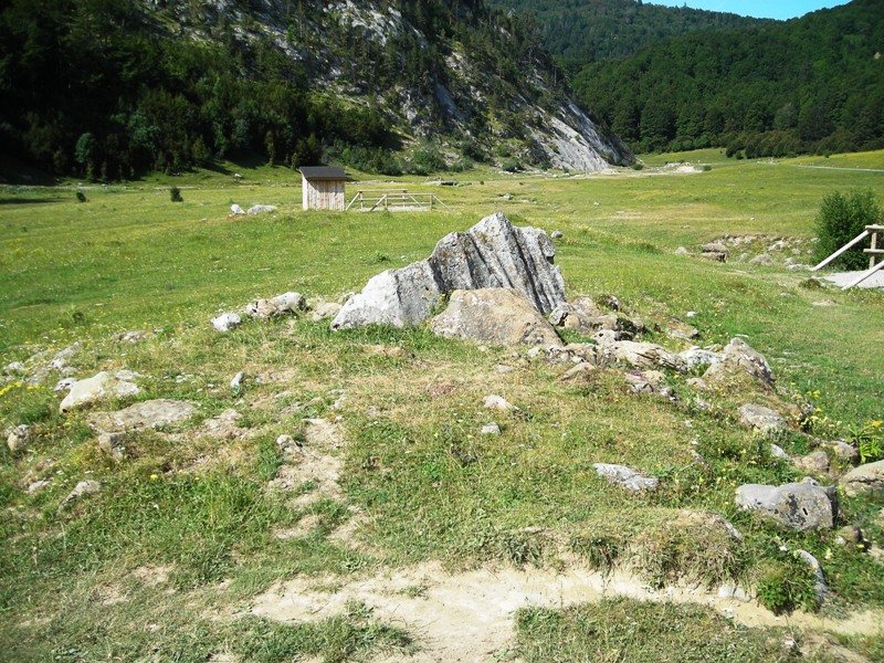 Linza 1 norte trikuharria