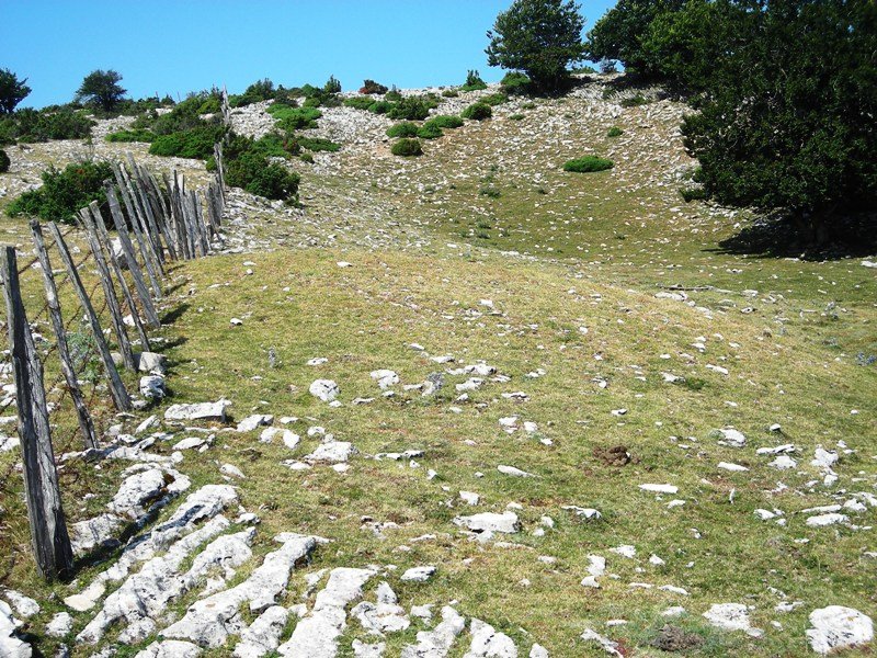 Los Rasos etxola hondoa